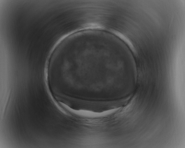 X0000092031383200710041053