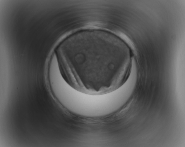 X0000092031384200710041053