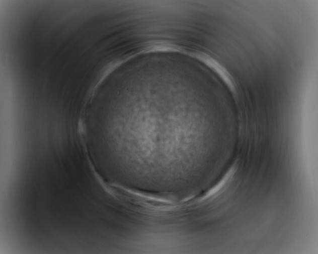 X0000092031385200710041053