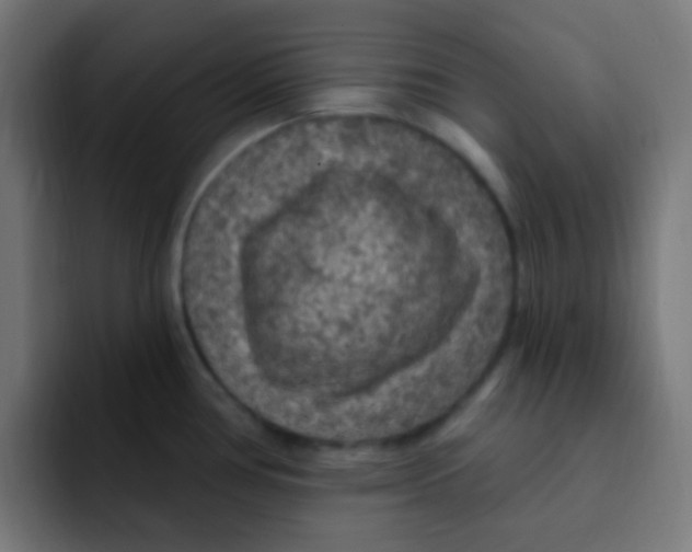 X0000092031386200710041053