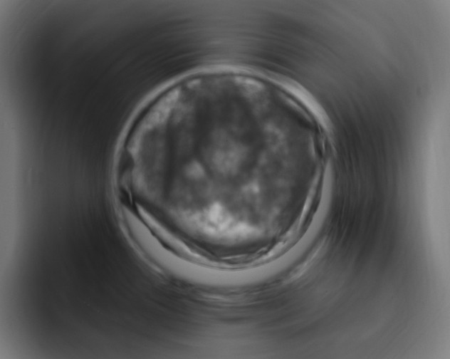 X0000092031388200710041053