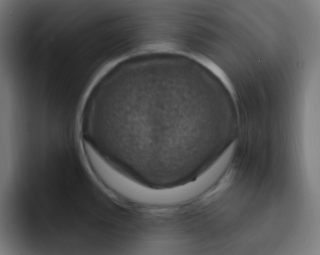 X0000092031389200710041053