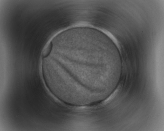 X0000092031390200710041053