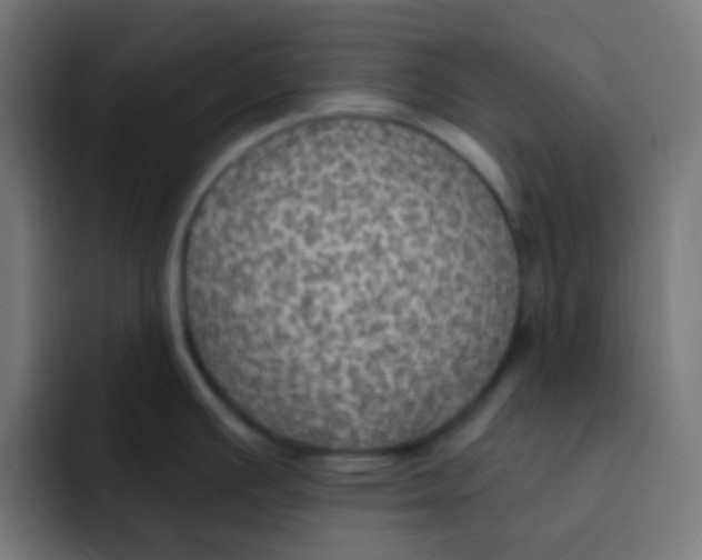 X0000092031391200710041053