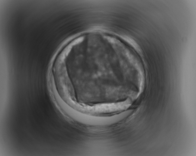 X0000092031392200710041053