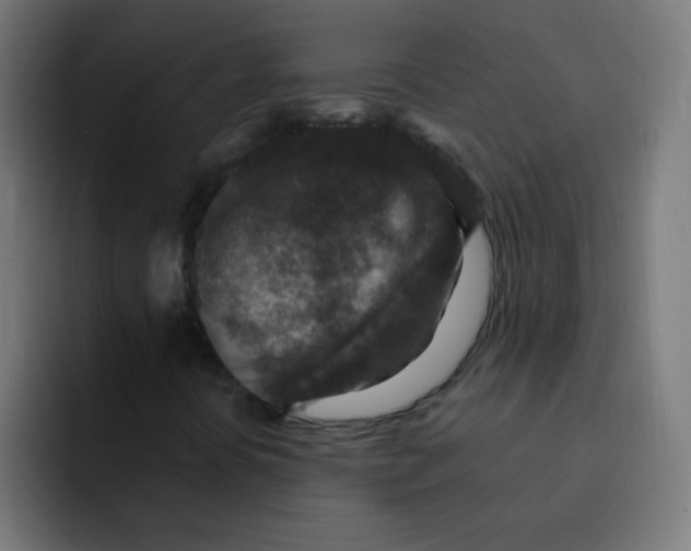 X0000092031394200710041053