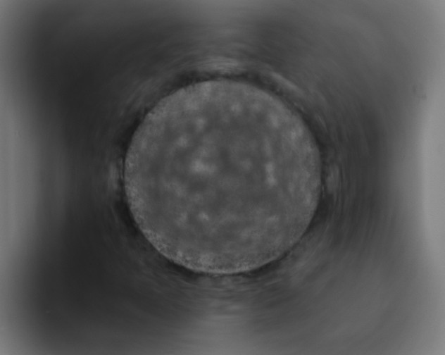 X0000092031397200710041053