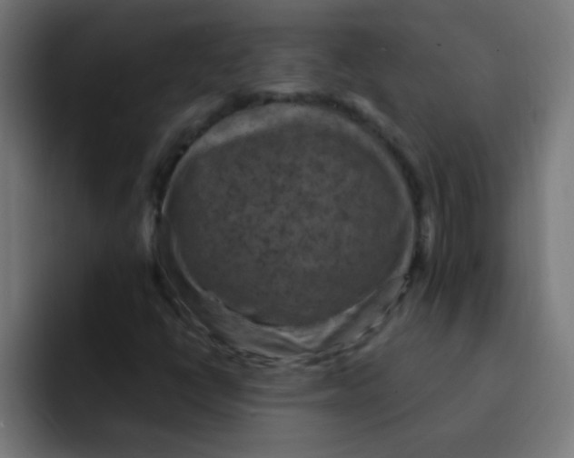 X0000092031398200710041053