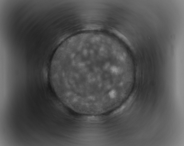 X0000092031401200710041053