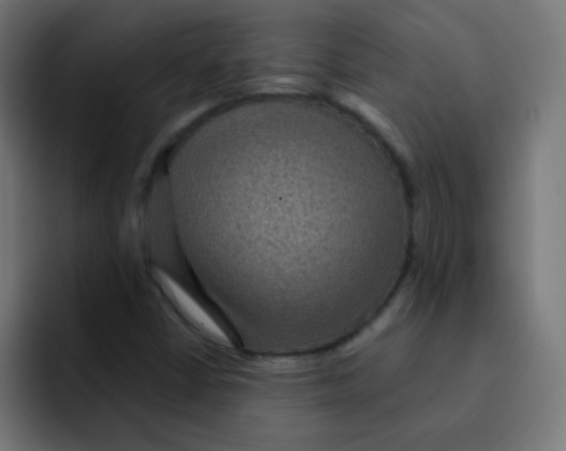 X0000092031402200710041053