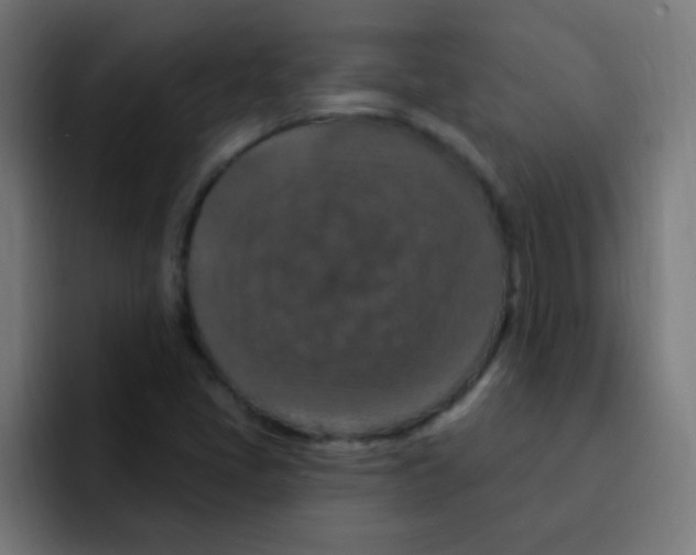 X0000092031405200710041053