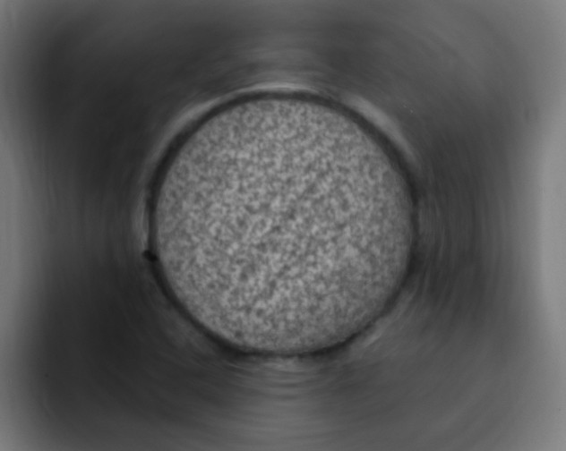 X0000092031408200710041053