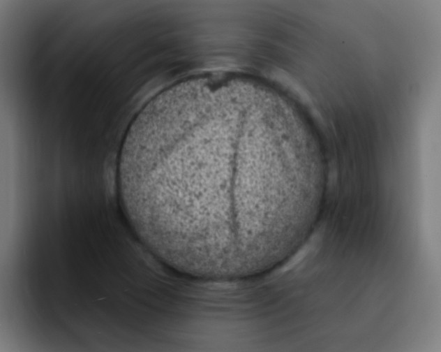 X0000092031409200710041053