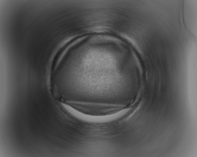 X0000092031410200710041053