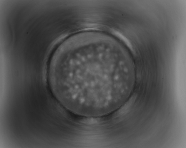 X0000092031411200710041053