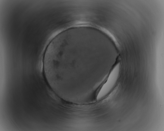 X0000092031413200710041053