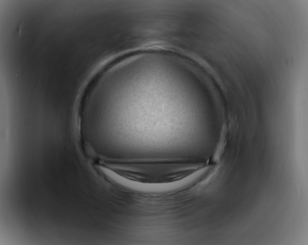 X0000092031414200710041053