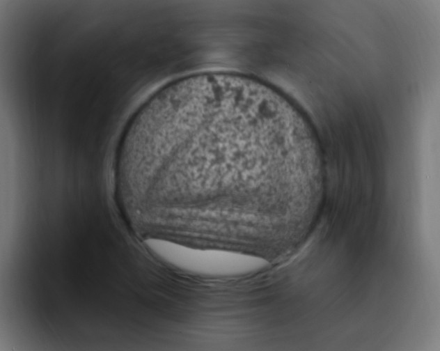 X0000092031415200710041053