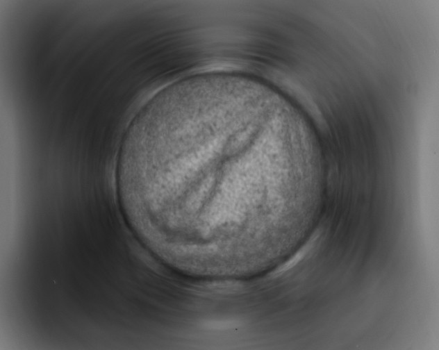 X0000092031417200710041053