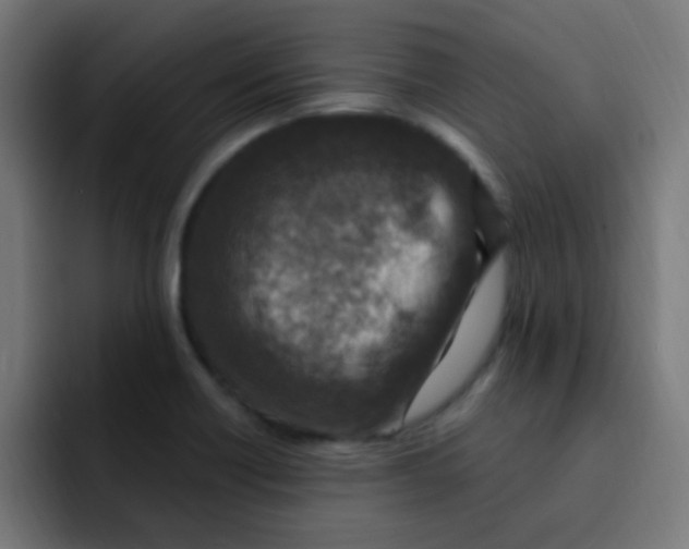 X0000092031418200710041053