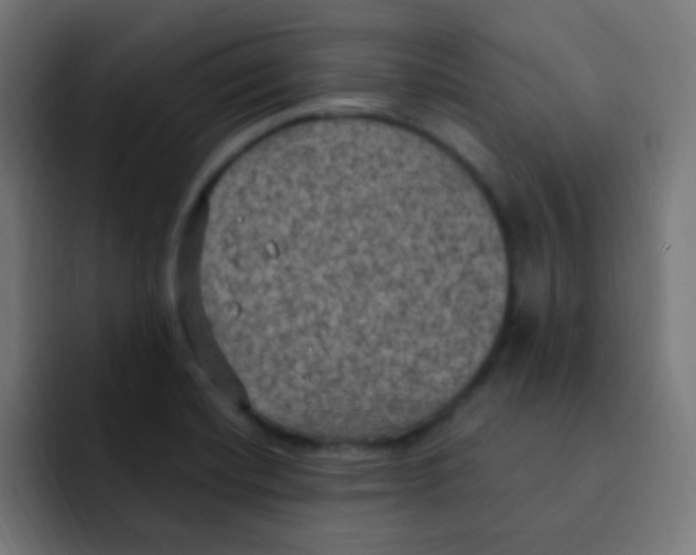 X0000092031420200710041053