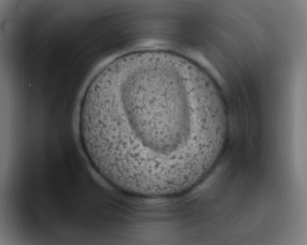 X0000092031421200710041053