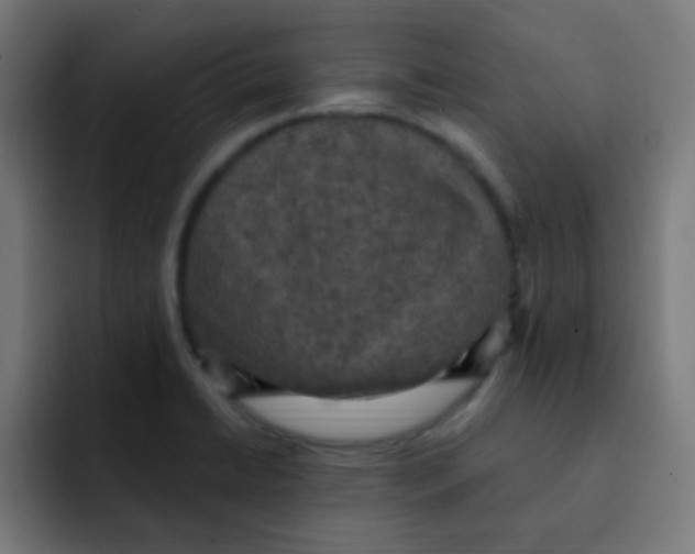 X0000092031422200710041053