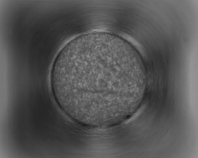 X0000092031423200710041053