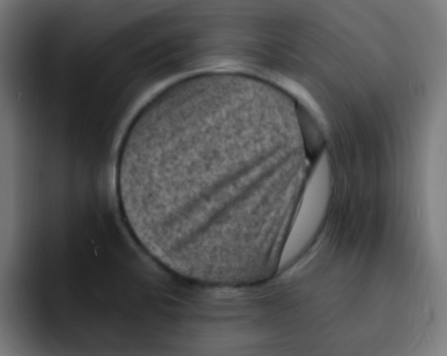 X0000092031424200710041053