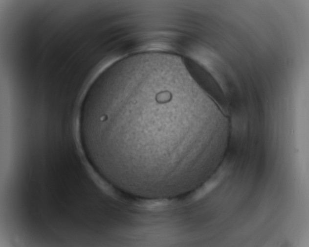 X0000092031426200710041053