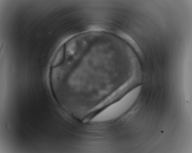 X0000092031427200710041053