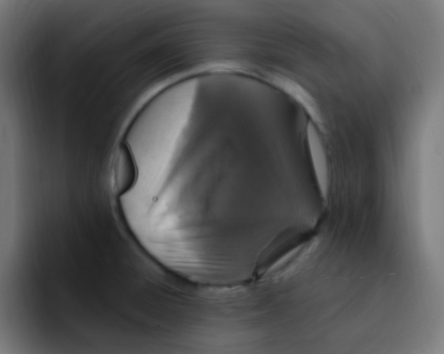 X0000092031428200710041053