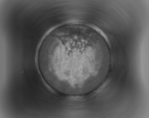 X0000092031429200710041053