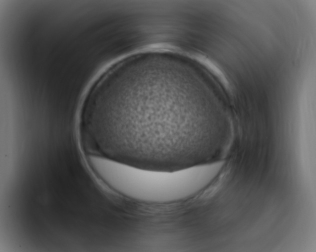 X0000092031430200710041053