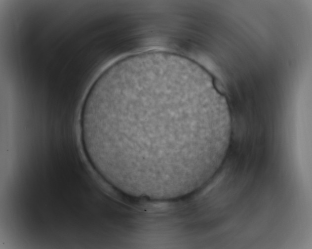 X0000092031431200710041053