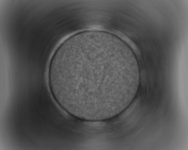 X0000092031432200710041053