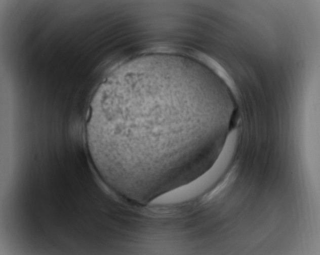 X0000092031433200710041053