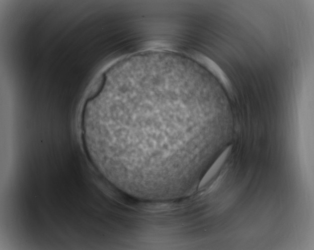 X0000092031435200710041053