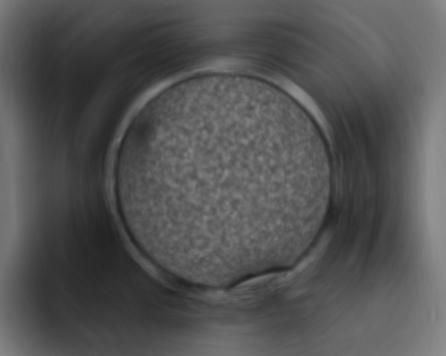 X0000092031437200710041053