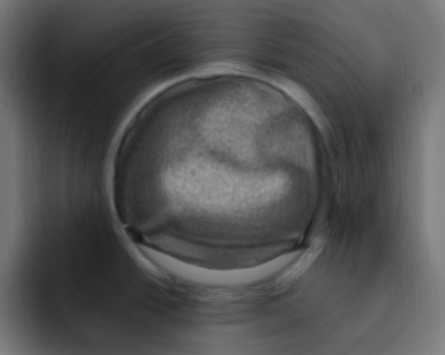 X0000092031438200710041053