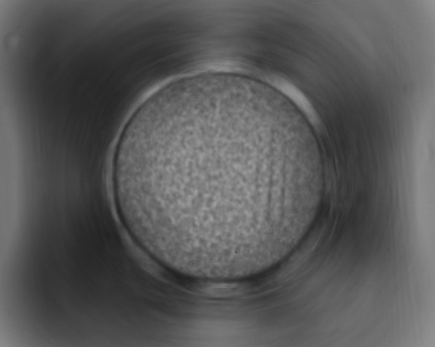 X0000092031439200710041053