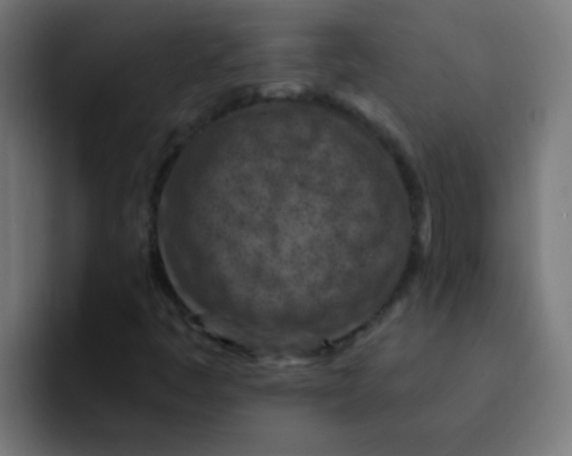 X0000092031445200710041053