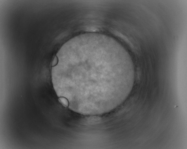 X0000092031446200710041053