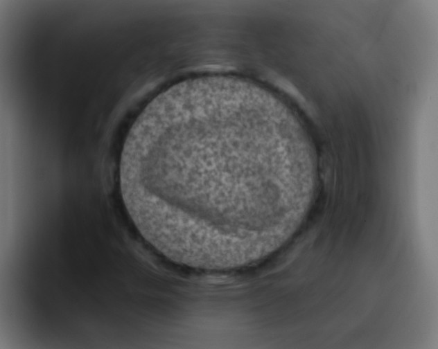 X0000092031448200710041053