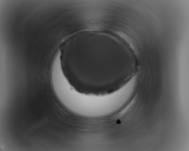 X0000092031449200710041053