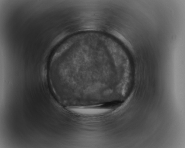 X0000092031450200710041053