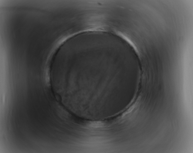 X0000092031455200710041053