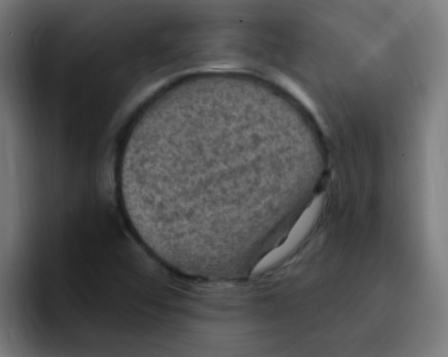 X0000092031456200710041053