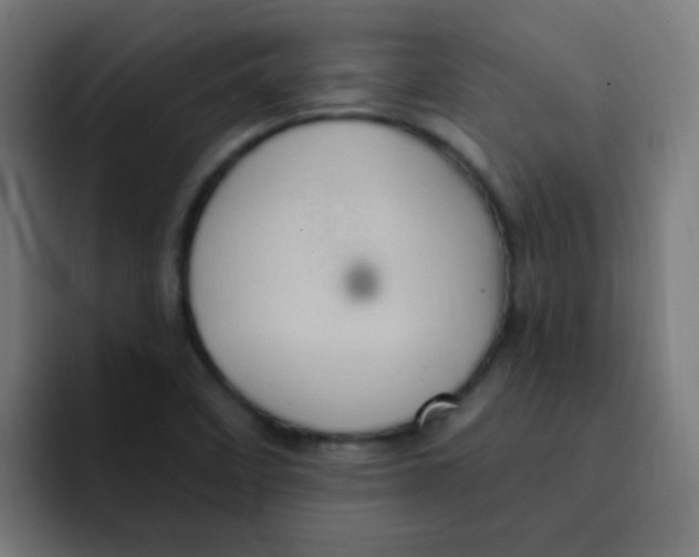 X0000092031458200710041053