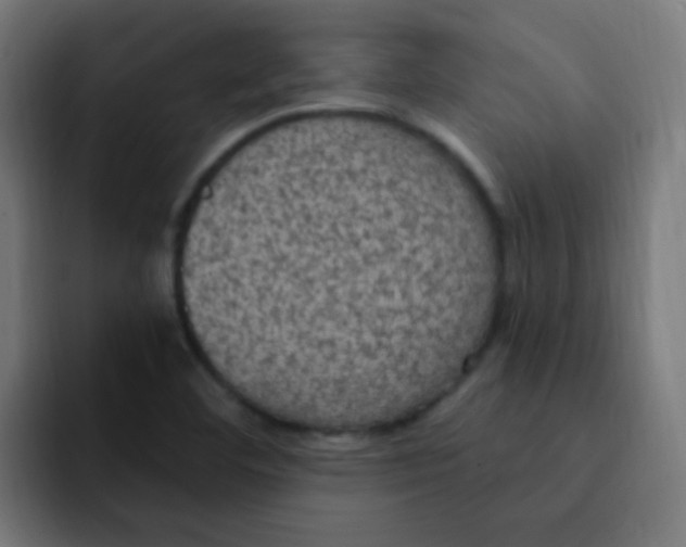 X0000092031460200710041053